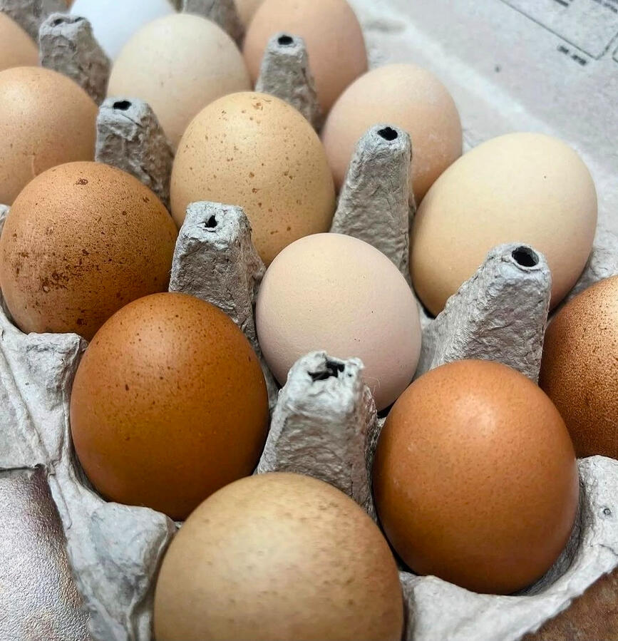 Green Reaper Farm's Eggs